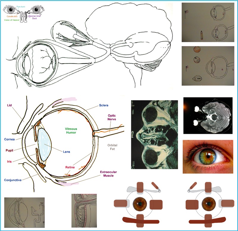 Eye Aggregate